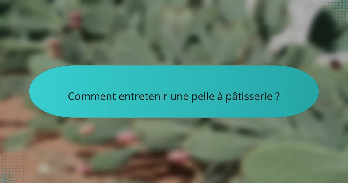 Comment entretenir une pelle à pâtisserie ?