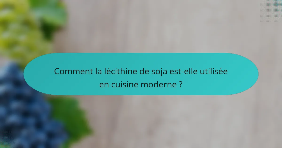 Comment la lécithine de soja est-elle utilisée en cuisine moderne ?