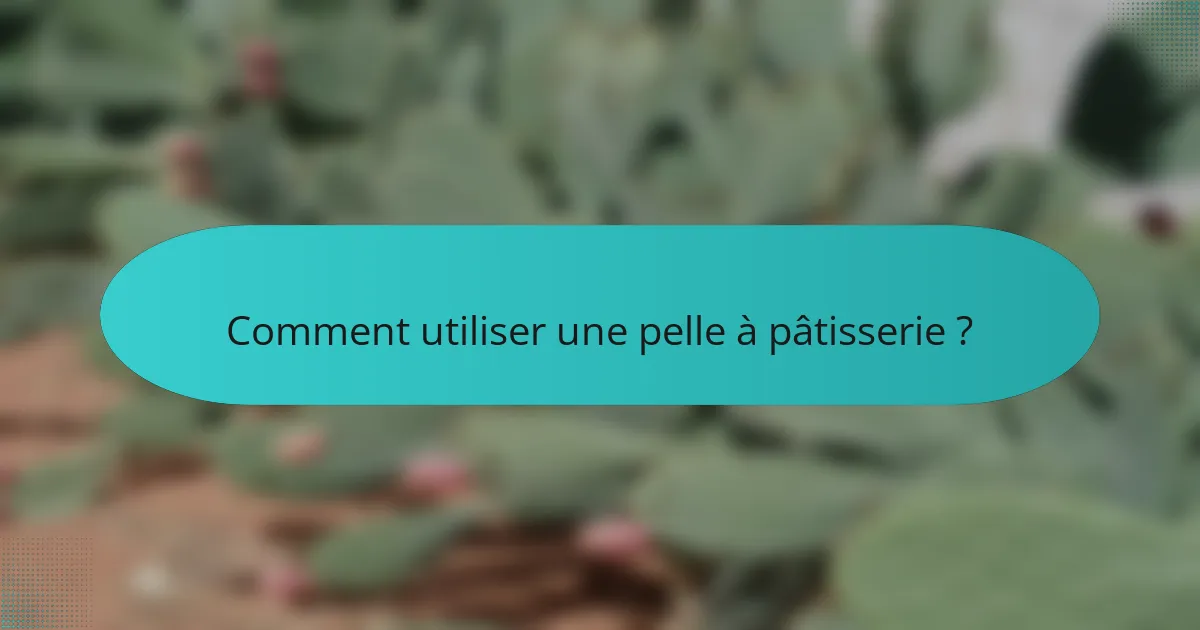 Comment utiliser une pelle à pâtisserie ?