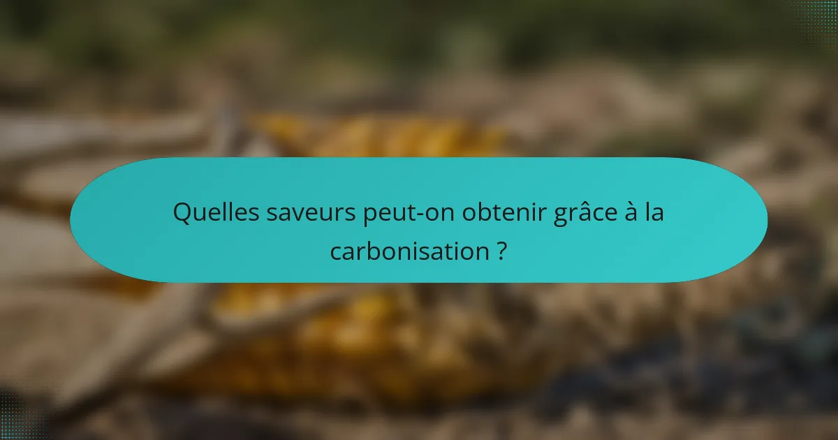 Quelles saveurs peut-on obtenir grâce à la carbonisation ?