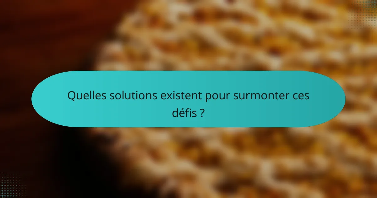 Quelles solutions existent pour surmonter ces défis ?