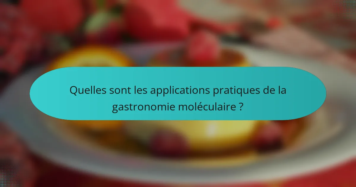 Quelles sont les applications pratiques de la gastronomie moléculaire ?