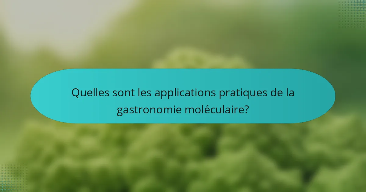 Quelles sont les applications pratiques de la gastronomie moléculaire?