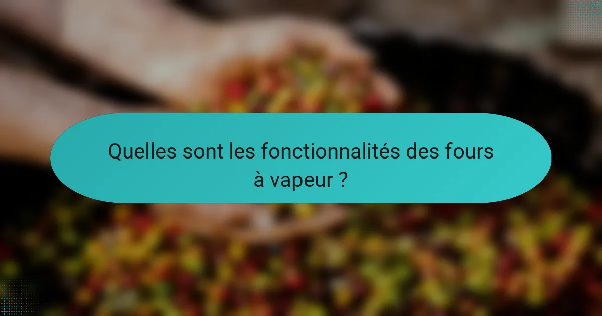 Quelles sont les fonctionnalités des fours à vapeur ?