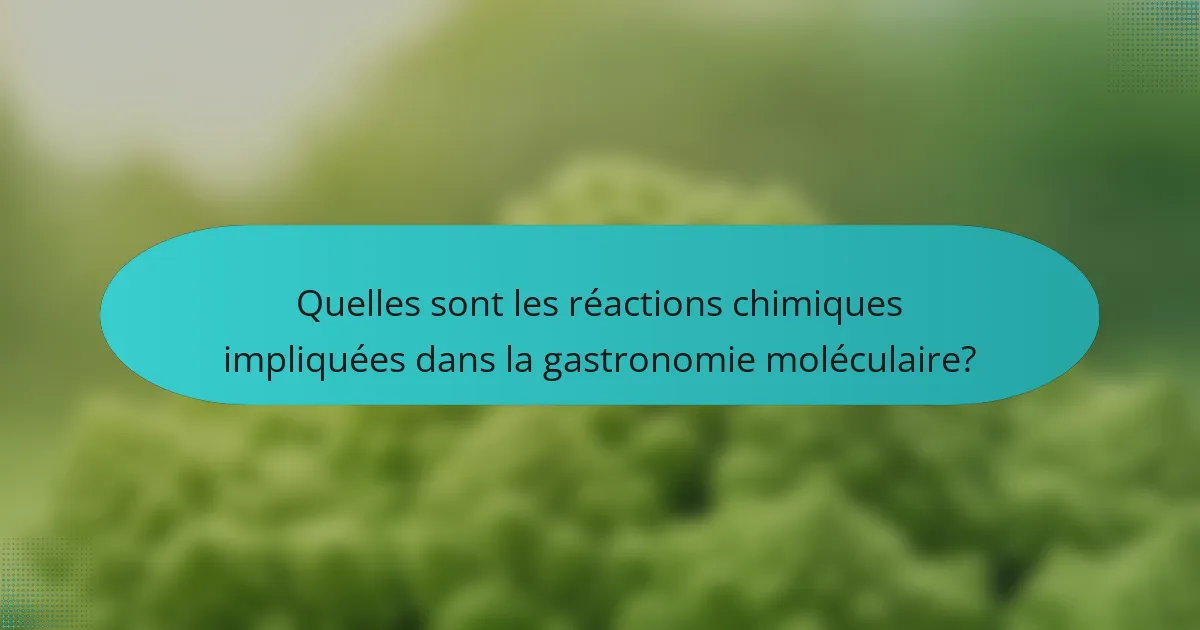 Quelles sont les réactions chimiques impliquées dans la gastronomie moléculaire?