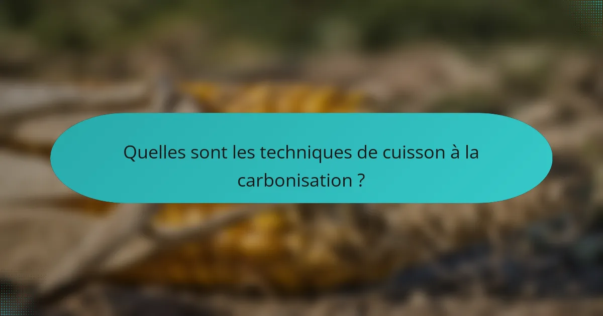 Quelles sont les techniques de cuisson à la carbonisation ?