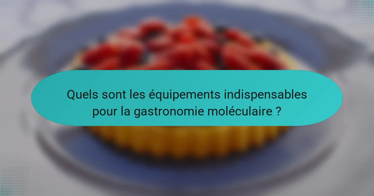 Quels sont les équipements indispensables pour la gastronomie moléculaire ?