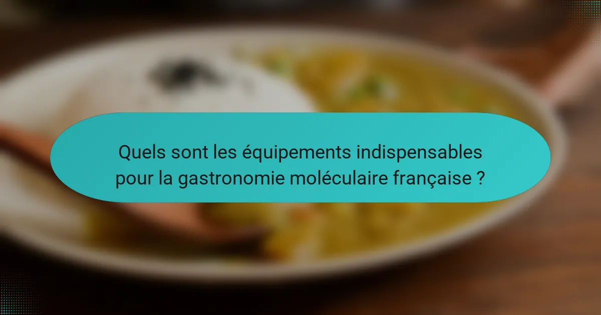 Quels sont les équipements indispensables pour la gastronomie moléculaire française ?