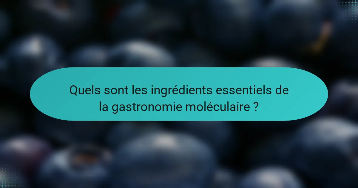 Quels sont les ingrédients essentiels de la gastronomie moléculaire ?