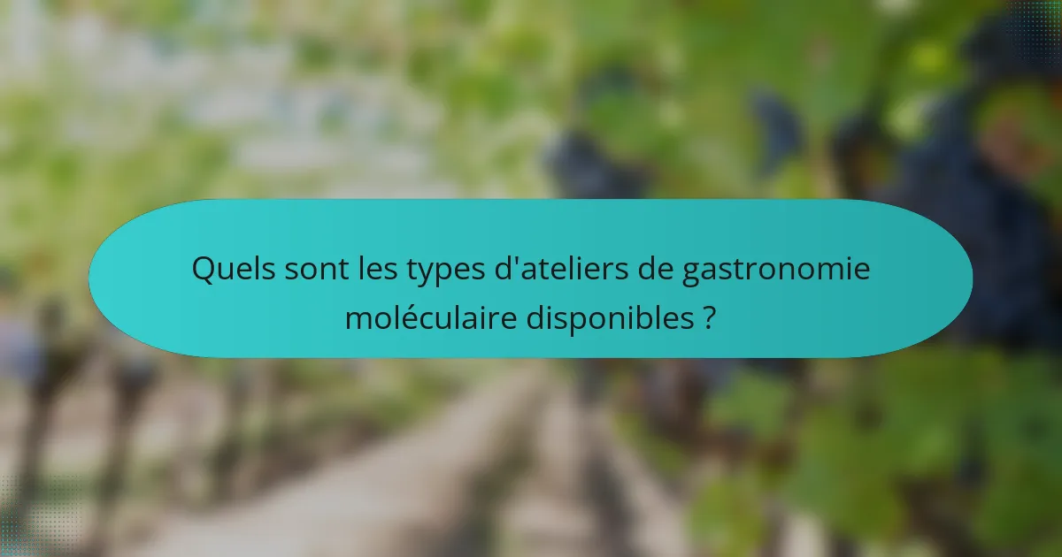 Quels sont les types d'ateliers de gastronomie moléculaire disponibles ?