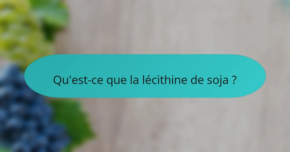 Qu'est-ce que la lécithine de soja ?