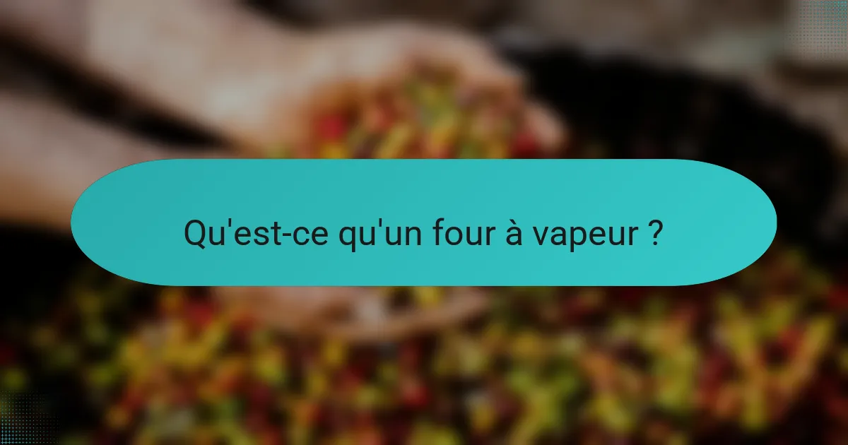 Qu'est-ce qu'un four à vapeur ?